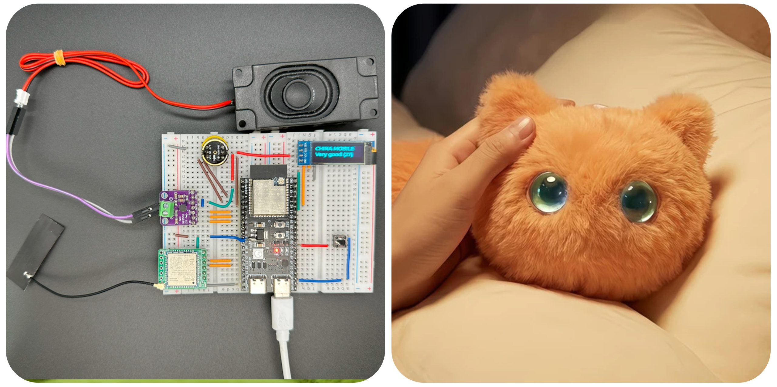 AI & Applications